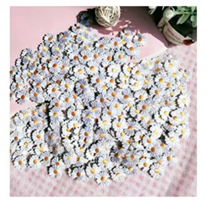 Lot de patchs en tissu brodés de marguerites blanches pour décoration de vêtements DIY.