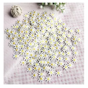 Gros plan de petits écussons brodés de marguerites blanches détail pour travaux manuels.