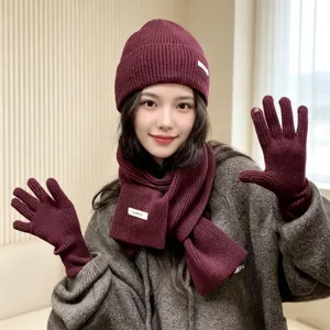 Gemütliches winter warmes weinrotes strickmütze schal und handschuhe set für damen