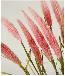 Roze kunstmatig pampasgras detail close-up pluizige gedroogde rietplant woondecor.