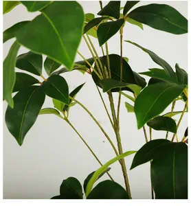 Detail van kunstplant tak, realistische groene bladeren en stengel voor binnenhuisdecoratie.