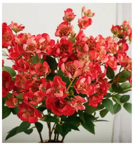 Bouquet de fleurs de roses artificielles rouges pour décoration de mariage à la maison détail.