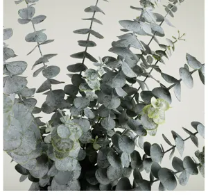 Close-up detail of artificial eucalyptus leaves branch, realistic green foliage for home decor.