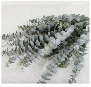 Artificial eucalyptus branches simulation green leaves fake money plant for home decor arrangement.