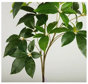 Kunstmatige geluksboom blad tak nep plant groen loof decor voor hotel huwelijk ontwerp.