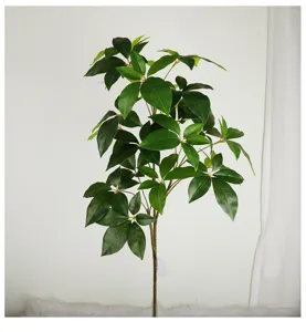 Gedetailleerd overzicht van kunstmatige geldboom tak, groene bladeren voor plantendecoratie.