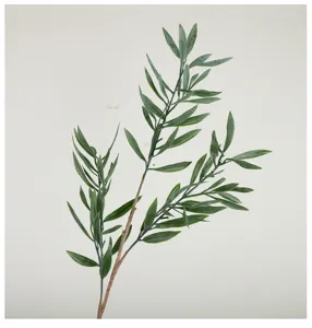 Détail de branche d'olivier artificielle, feuilles vertes réalistes sur tige marron pour arrangement.