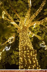 Catena luminosa LED solare esterno impermiabile stella luna decorazione giardino dettaglio