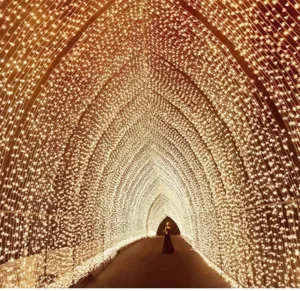 Catena luminosa LED tunnel decorazione bianco caldo stellata per esterno festa vacanze.