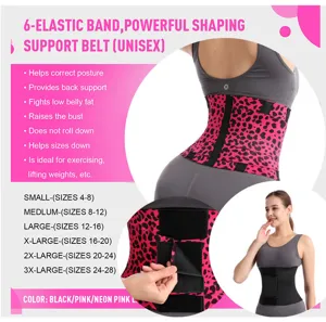 Unisex waist trainer belt with six elastic bands for back support and post-workout shaping.