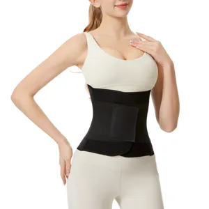 Verstellbarer Fitness Taillengürtel für Core-Unterstützung und Workout, bequemes elastisches Design.