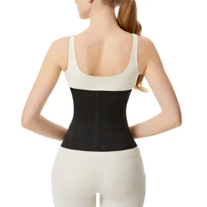 Rückansicht Detail des verstellbaren schwarzen Taillentrainers für Fitness und Sport.