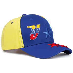 Detailed view of the embroidered V logo and stars on the blue and yellow baseball cap.