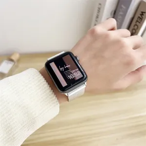 Stainless steel mesh strap detail for smartwatch, breathable magnetic loop band replacement.