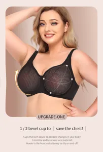 Plus size sheer mesh push up bra half cup sexy black undergarment product details view