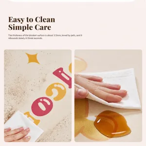 Simple PVC pet mat, waterproof and stain-resistant, easy to clean, 3.5mm thick for pets.