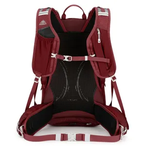 Professional outdoor mountaineering hiking backpack with breathable suspended mesh back panel.
