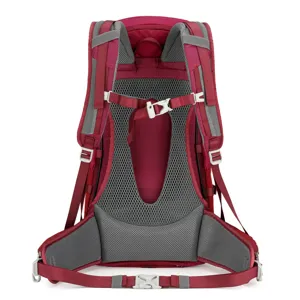 Detailed view of the breathable mesh suspension back system on professional hiking backpack.