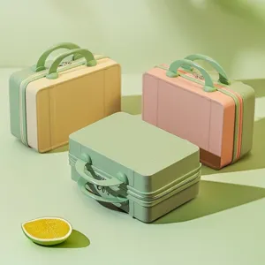 Mini valigia cosmetica da 14 pollici custodia trucco portatile borsa portaoggetti viaggio