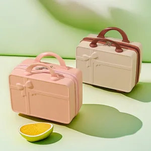 Mini cosmetic case portable travel luggage small vanity box cute makeup storage organizer bag