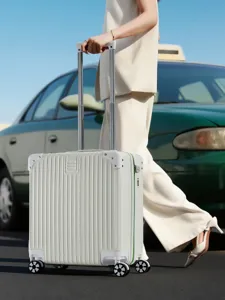 Bagaglio a mano leggero da 20 pollici con ruote piroettanti e manico telescopico per viaggi.