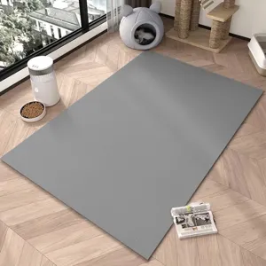 Modern minimalist solid grey pet floor mat anti-slip wear resistant diatom mud mat