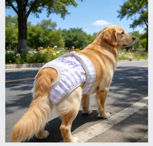 Pantalón fisiológico a cuadros para perro, pañal higiénico transpirable para uso diario.