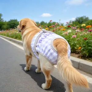 Pantalón fisiológico de cuadros lavable para perras paseo al aire libre principal