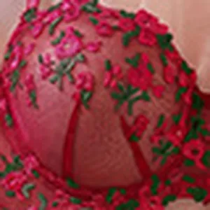 Detailed close-up of pink french floral embroidered bra cup and fine mesh lingerie craftsmanship.