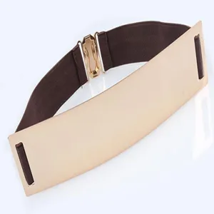 Detailweergave van brede elastische riem met gouden spiegelend metaal en bruine band.