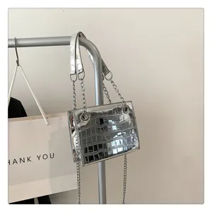 Silver metallic crocodile texture chain shoulder bag detail shot showing metallic hardware.