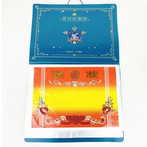 Protège-documents transparent pour collectionner certificats et diplômes scolaires.
