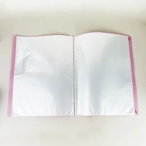 Dossier de documents transparent avec bordure rose et poches pour certificats et papiers.