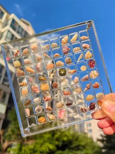 Détail de la boîte de rangement en acrylique transparent avec coquillages et bulots naturels.