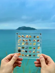 Boîte de rangement transparente en acrylique avec de petits coquillages pour le nail art DIY.