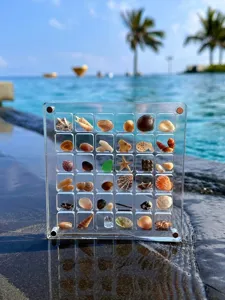 Boite de rangement transparente en acrylique avec petits coquillages et etoiles de mer.