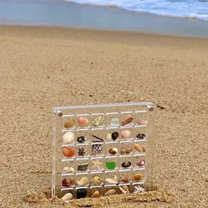Boîte de rangement transparente en acrylique avec petits coquillages pour nail art.
