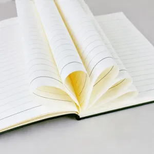 Carnet de notes professionnel avec papier épais sans bois pour réunions et cadeaux d'affaires.