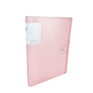 Transparenter A4 Dokumentenordner mit 30 Fächern, rosa Präsentationsmappe mit Gummiband.