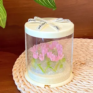 Primo piano della creativa lampada a tulipano rosa fatta a mano in scatola trasparente.