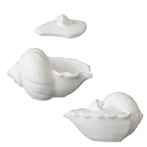 Detailed view of white seashell storage jar lid and container design ceramic decor.