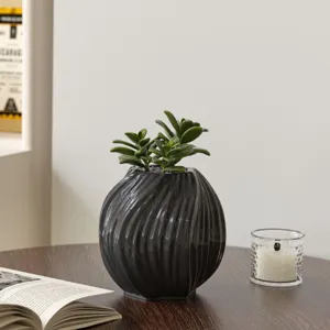 Modern dark grey ribbed spherical vase minimalist home decor with green succulent plant.