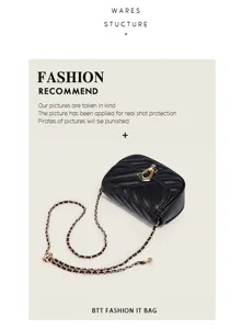 Black quilted chain shoulder bag with gold hardware and stylish fashion design for women.