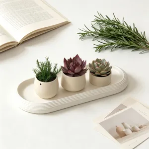 Minimalist oval striped tray with mini potted plants for elegant home desktop decor detail.