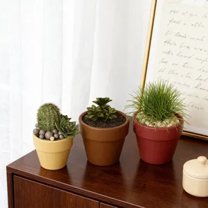 Petites plantes en pots minimalistes nordiques avec de la verdure sur une table.