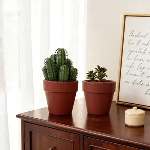 Plantes en pot de style nordique avec succulentes et cactus dans un pot en terre cuite.