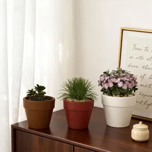 Ensemble de pots de fleurs ronds style nordique, plantes succulentes déco bureau.