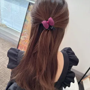 Molletta per capelli fiocco viola stile coreano dettaglio, accessorio per capelli carino.