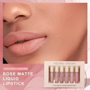 YOUNG VISION 6 Pcs Matte Liquid Lipstick Set Long Lasting Waterproof Lip Gloss Makeup Gift