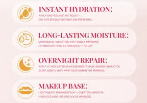 Lip balm feature detail infographic showing instant hydration, moisture, repair and makeup base.